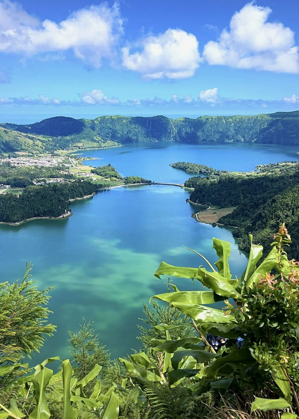 Sete Cidades volcanic crater lakes with tropical plants, São Miguel Island Azores — day 1 hydrangea tour